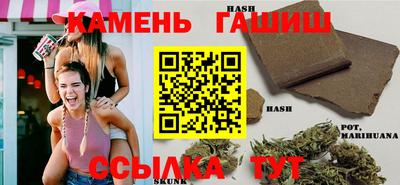 сатива Краснознаменск
