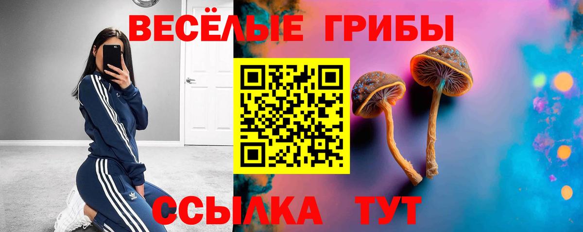 Галлюциногенные грибы MAGIC MUSHROOMS Арсеньев